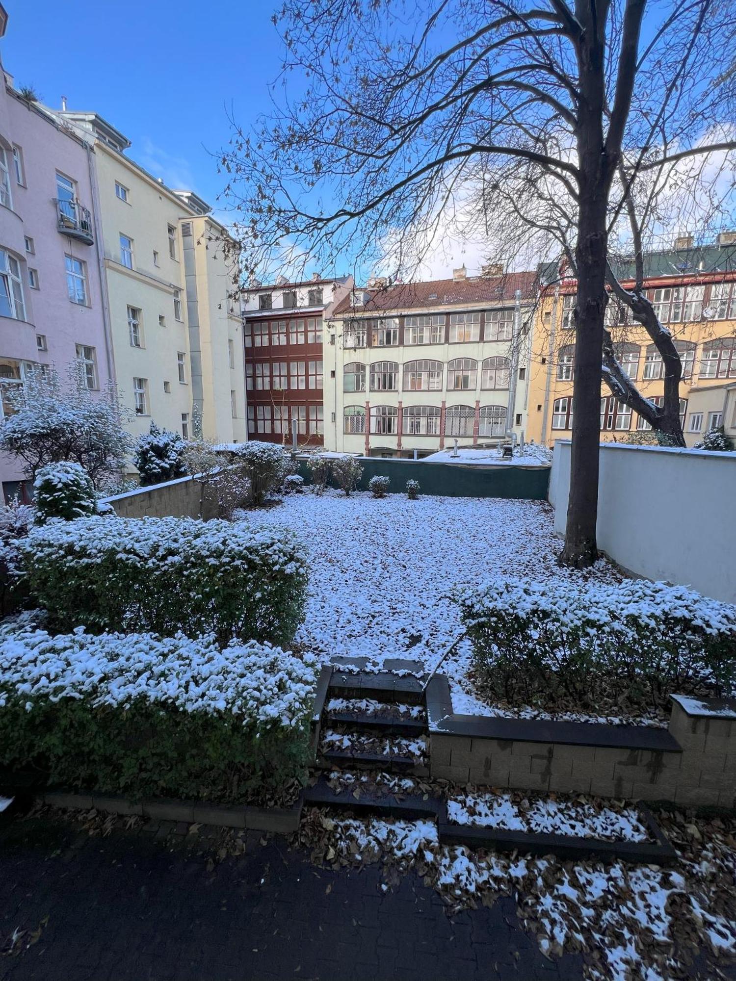 Cozy Garden Apartment In The Heart Of Prága Kültér fotó